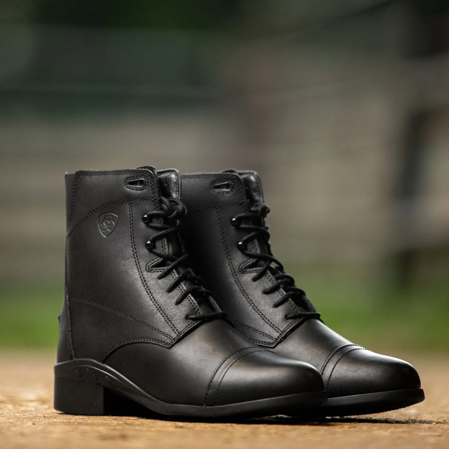 Ariat Women's Scout Paddock Boot, Black - Image 60