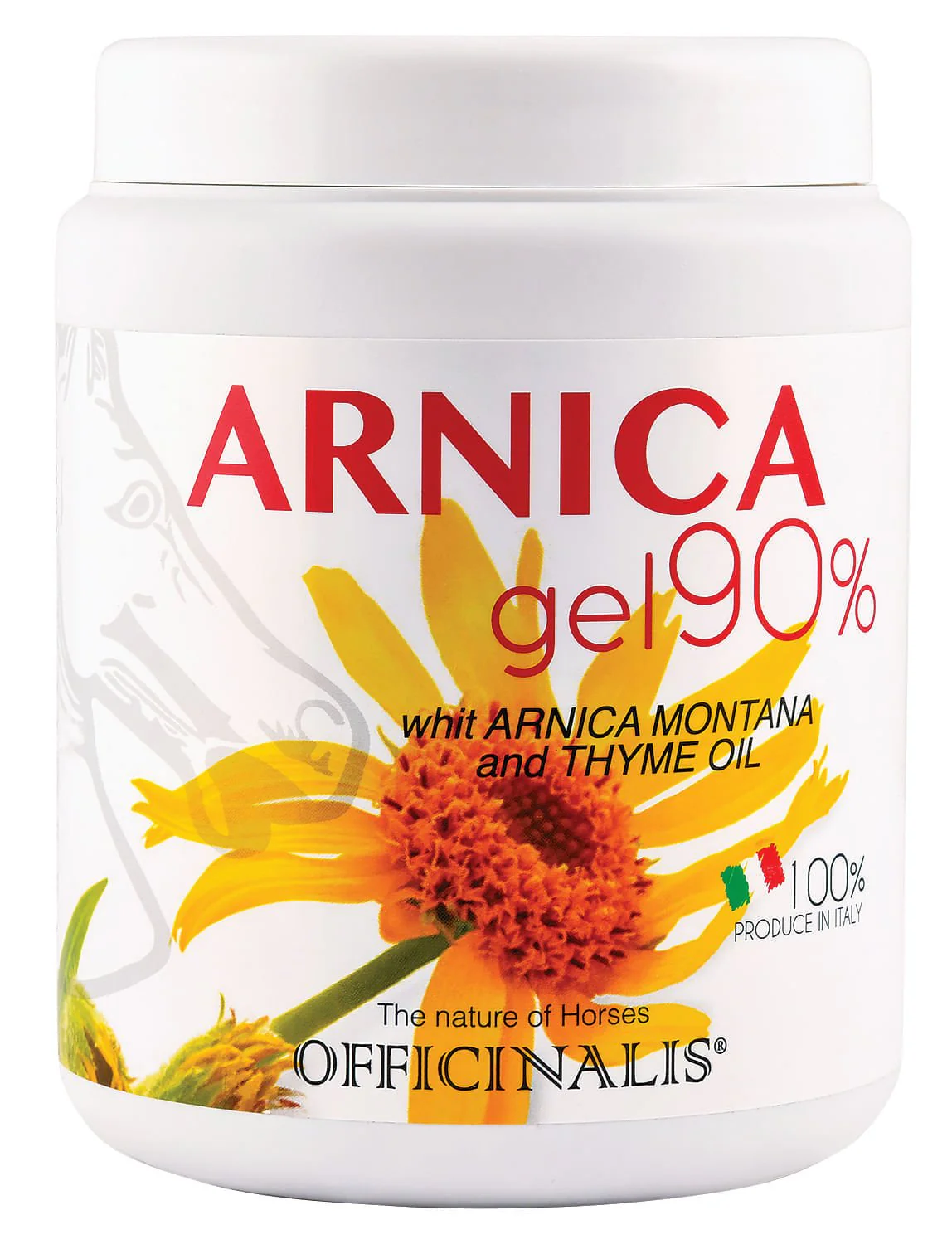 Arnica Gel (90%) - Image 5