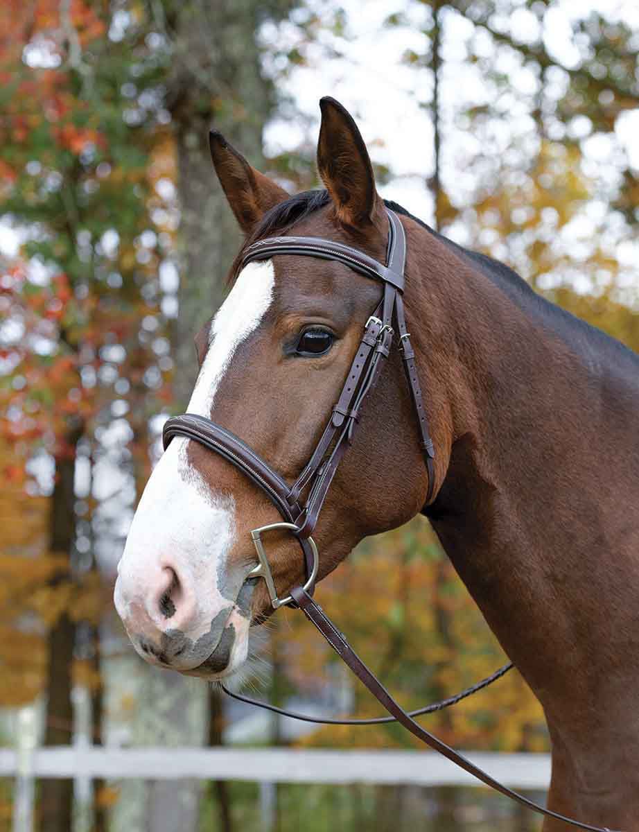 Shires Avignon Ocala Bridle, Havana - Image 4