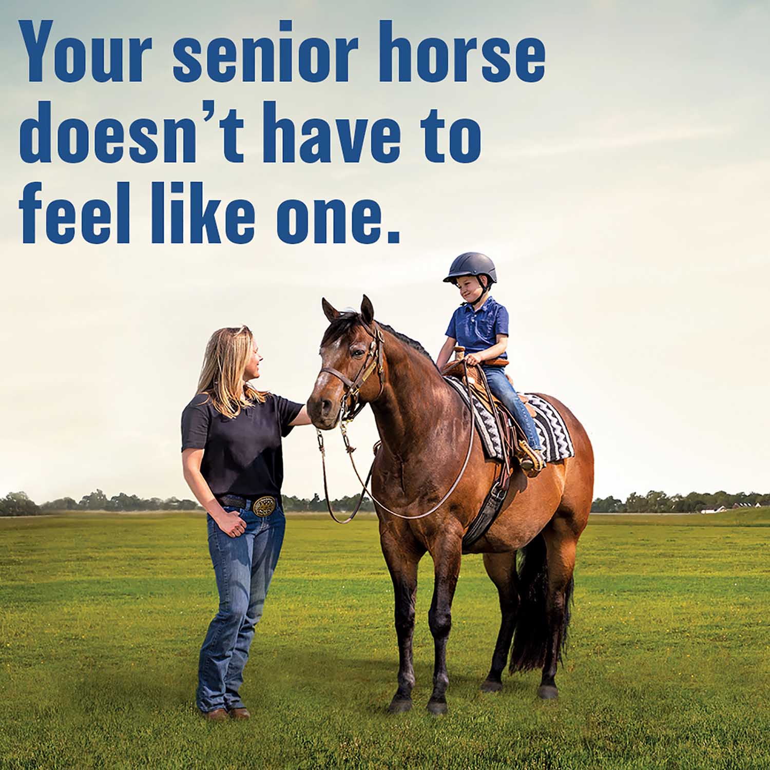 Absorbine BUTE-LESS Inflamation Supplement for Horses - Image 15