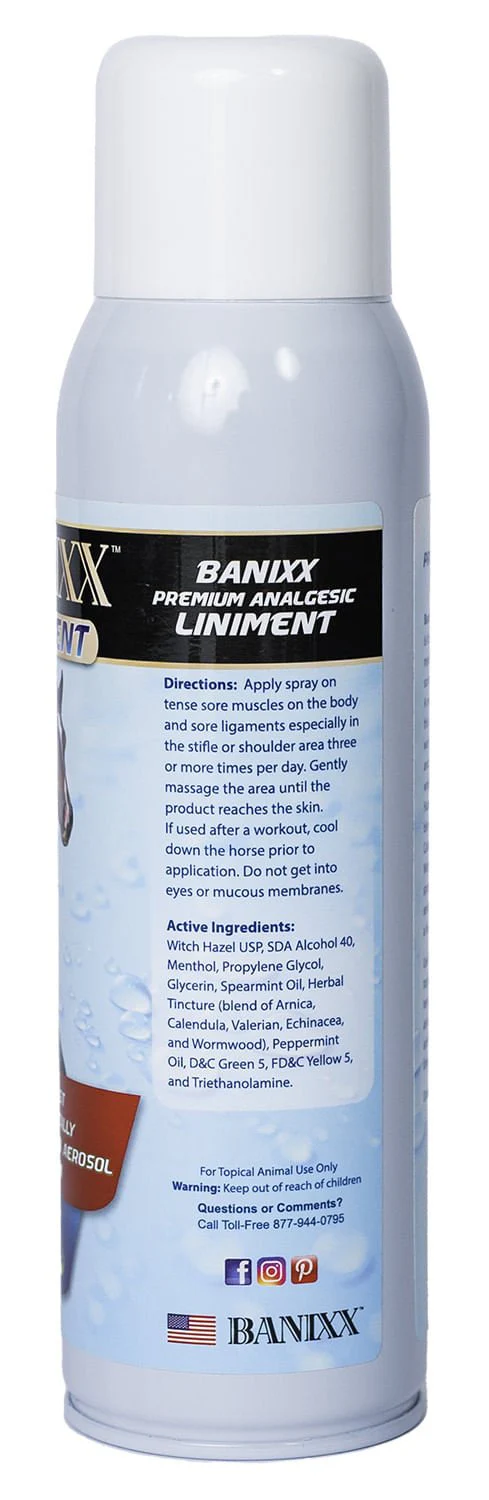 Banixx Premium Spray Liniment - Image 2