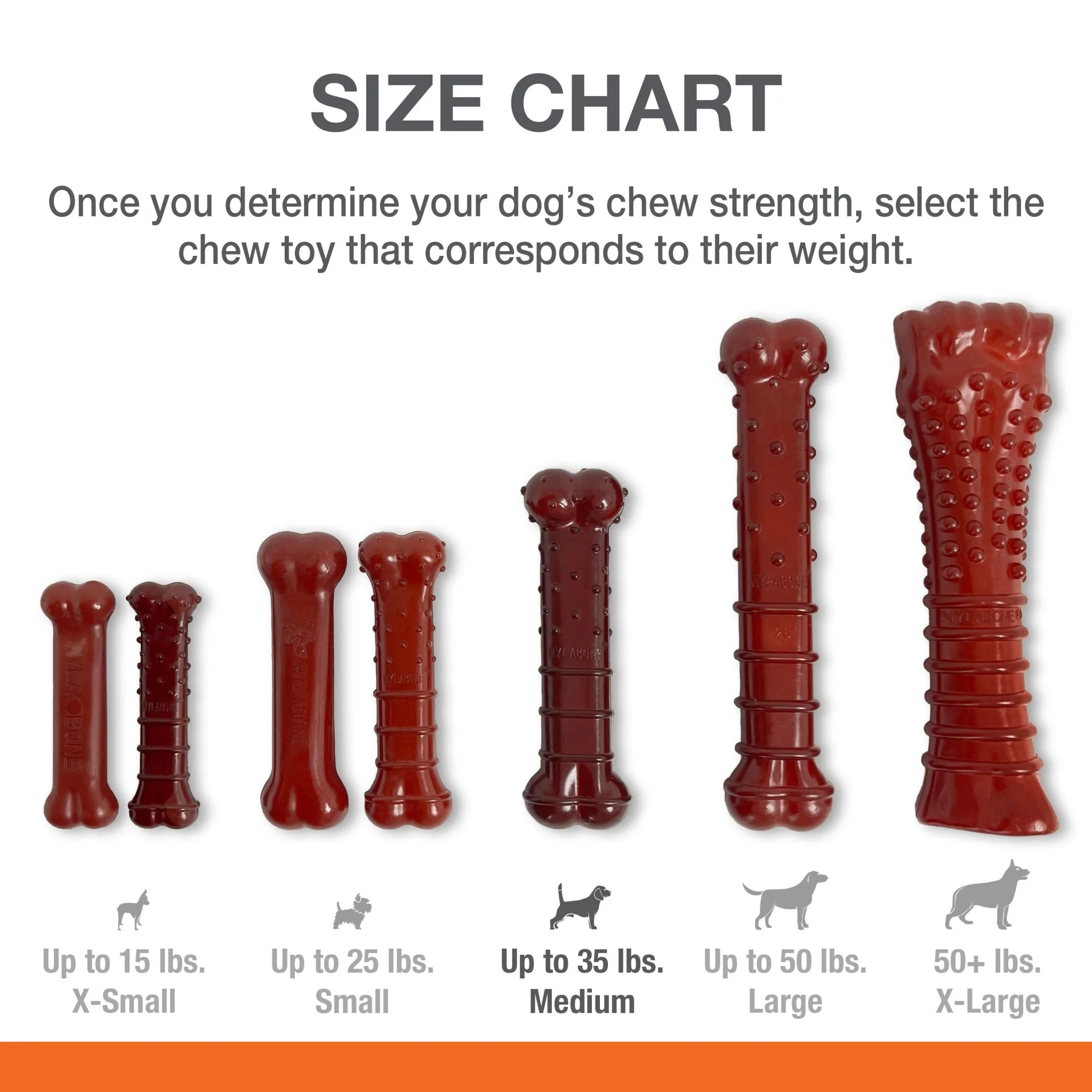 Basted Blast Dual Flavored Power Chew, Bacon Basted Steak - Image 2