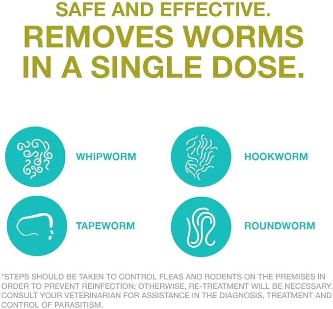 Quad Dewormer Chewable Tablets for Dogs - Image 4
