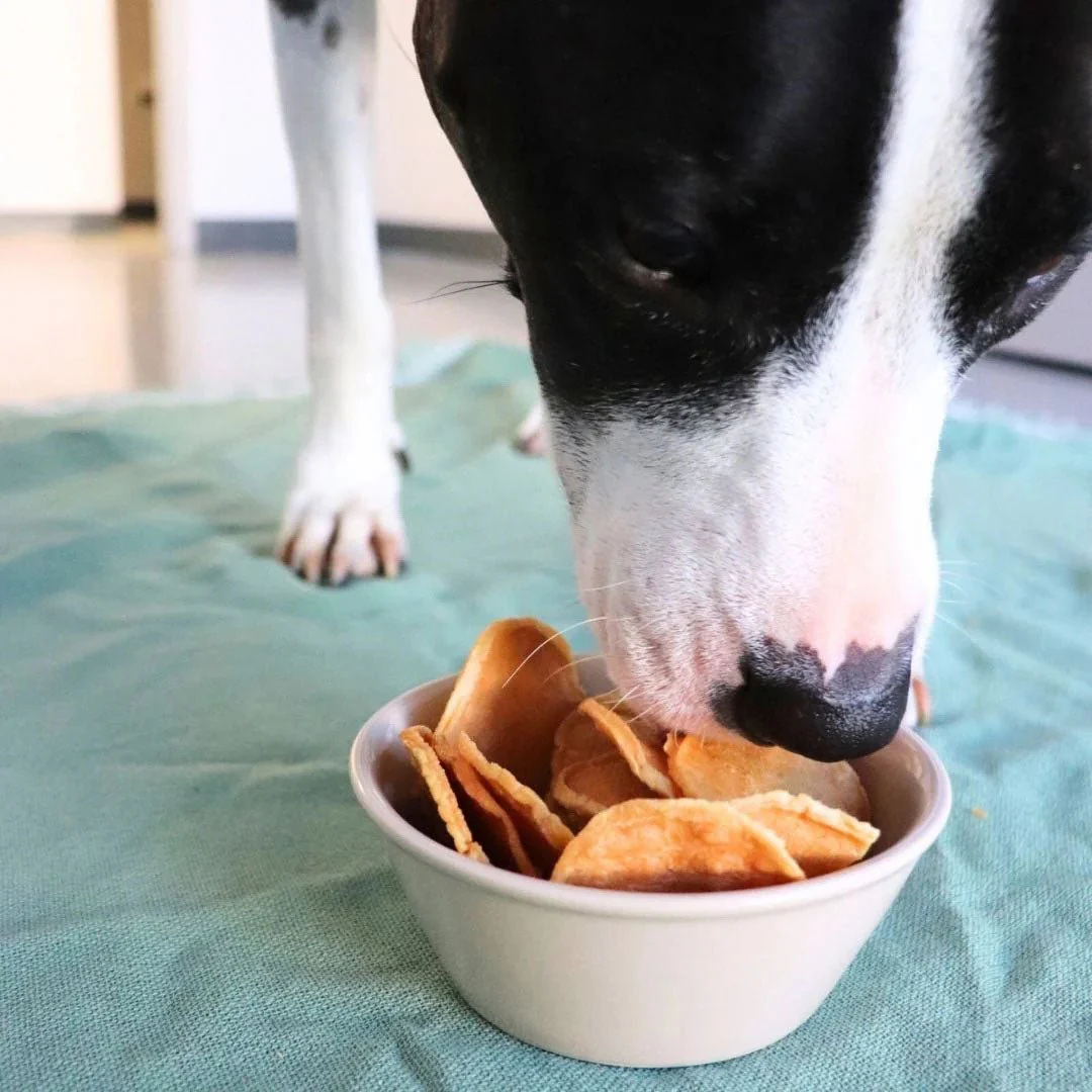 Air-Dried All Natural Single Ingredient Dog Treats – Beef, Chicken, Elk, Sweet Potato & Turkey Tendon, Grain-Free, High Protein, Made in USA - Image 16