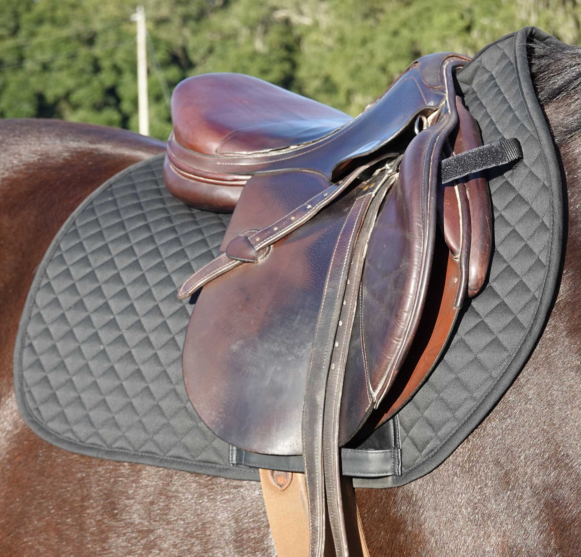 BeneFab Therapeutic All Purpose Saddle Pad, Black - Image 2