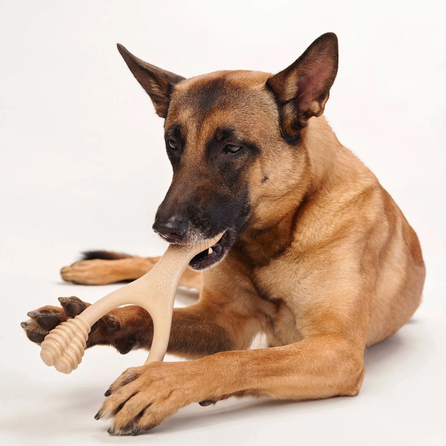 BetterBone Hard Density Natural Dog Chew Toy for Aggressive Chewers, Beef Flavor - Image 5