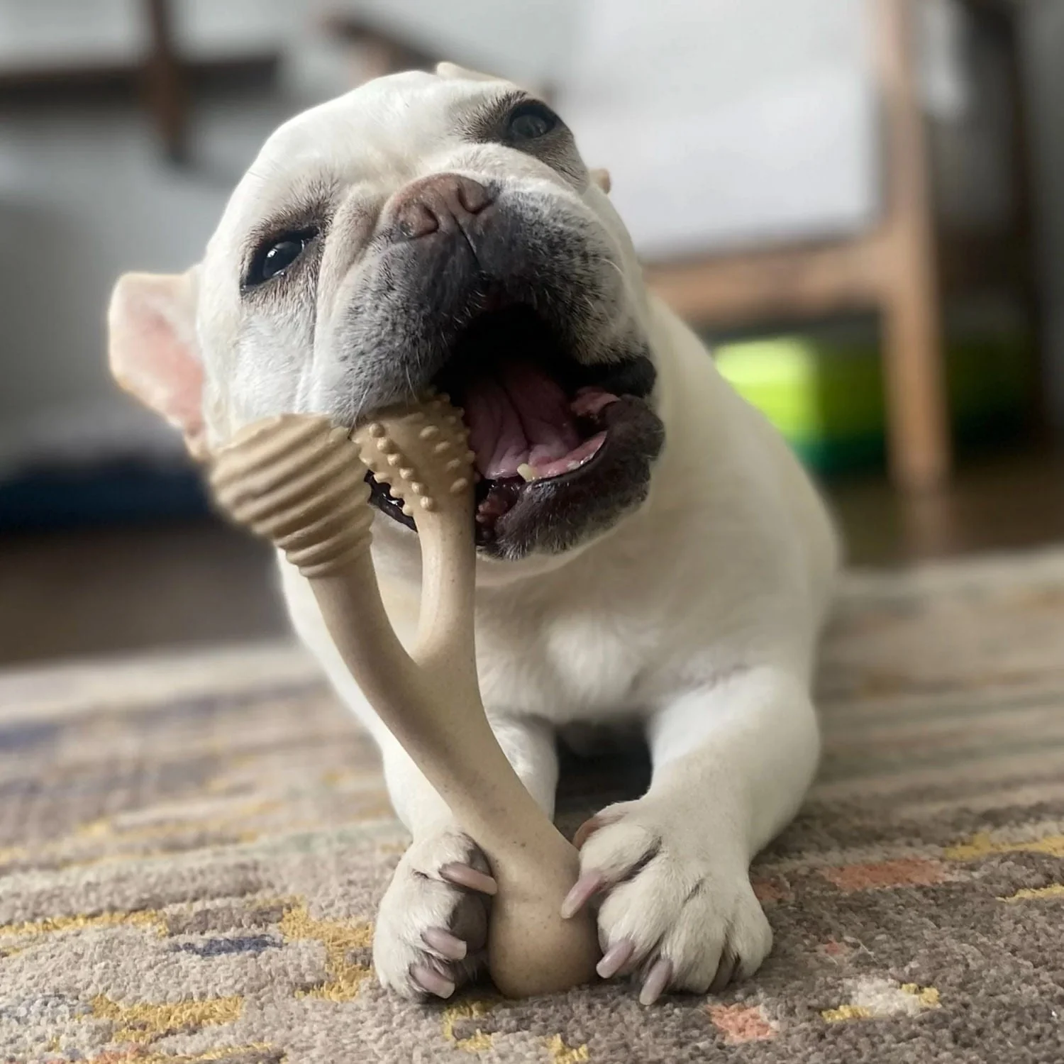 BetterBone Hard Density Natural Chew Toy – Classic Flavor for Dogs, Safe & Non-Toxic - Image 2