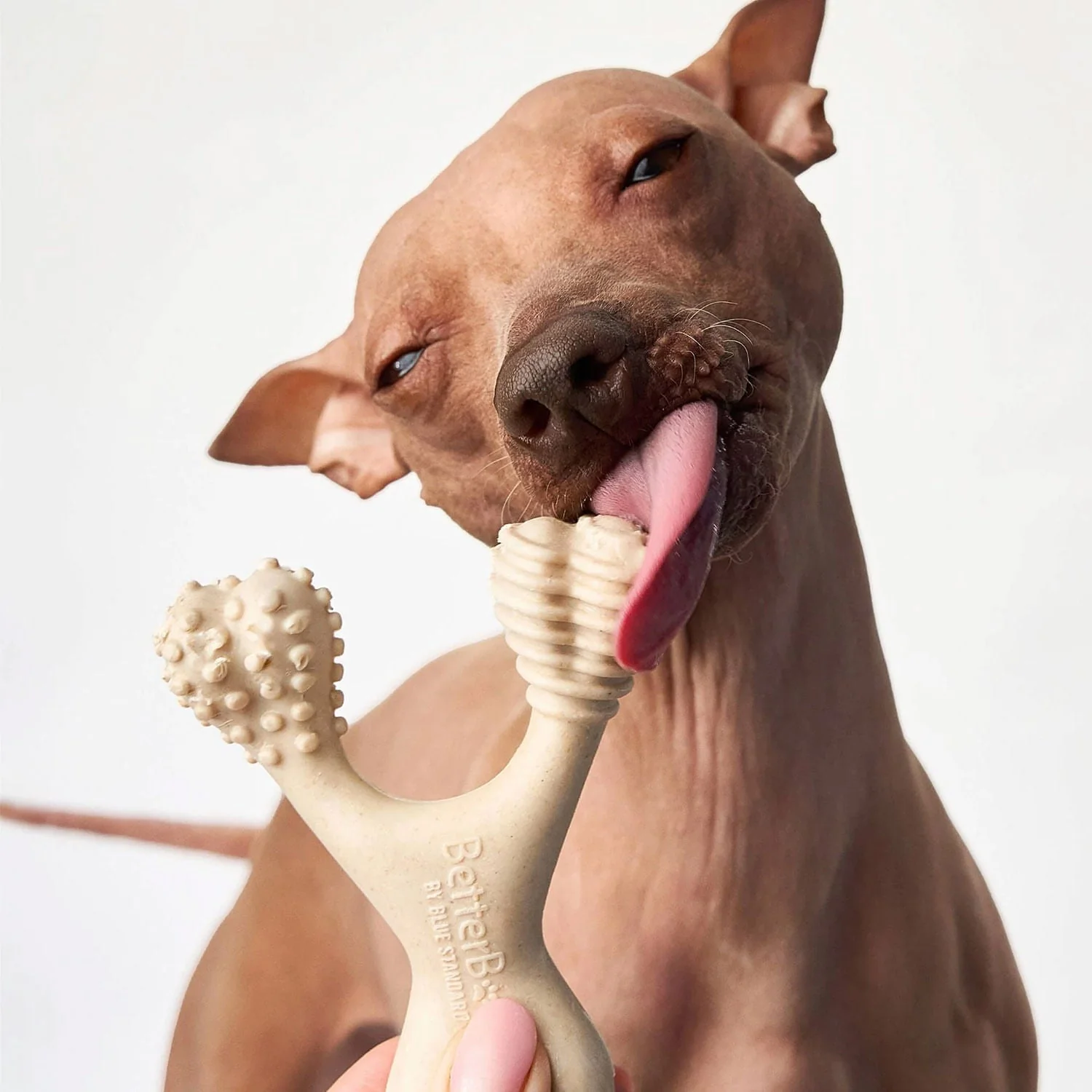 BetterBone Medium Density Natural Chew Toy – Classic Flavor for Dogs, Safe & Non-Toxic - Image 2
