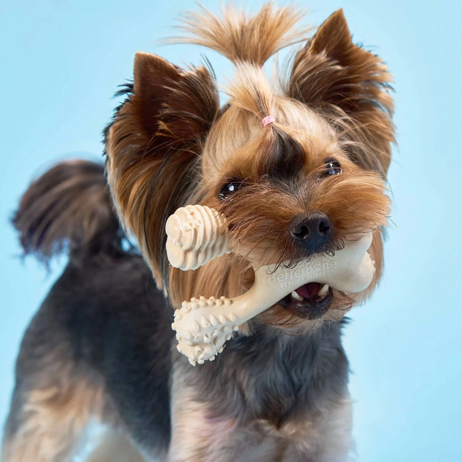 BetterBone Soft Density Natural Chew Toy – Classic Flavor for Dogs, Safe & Non-Toxic - Image 2