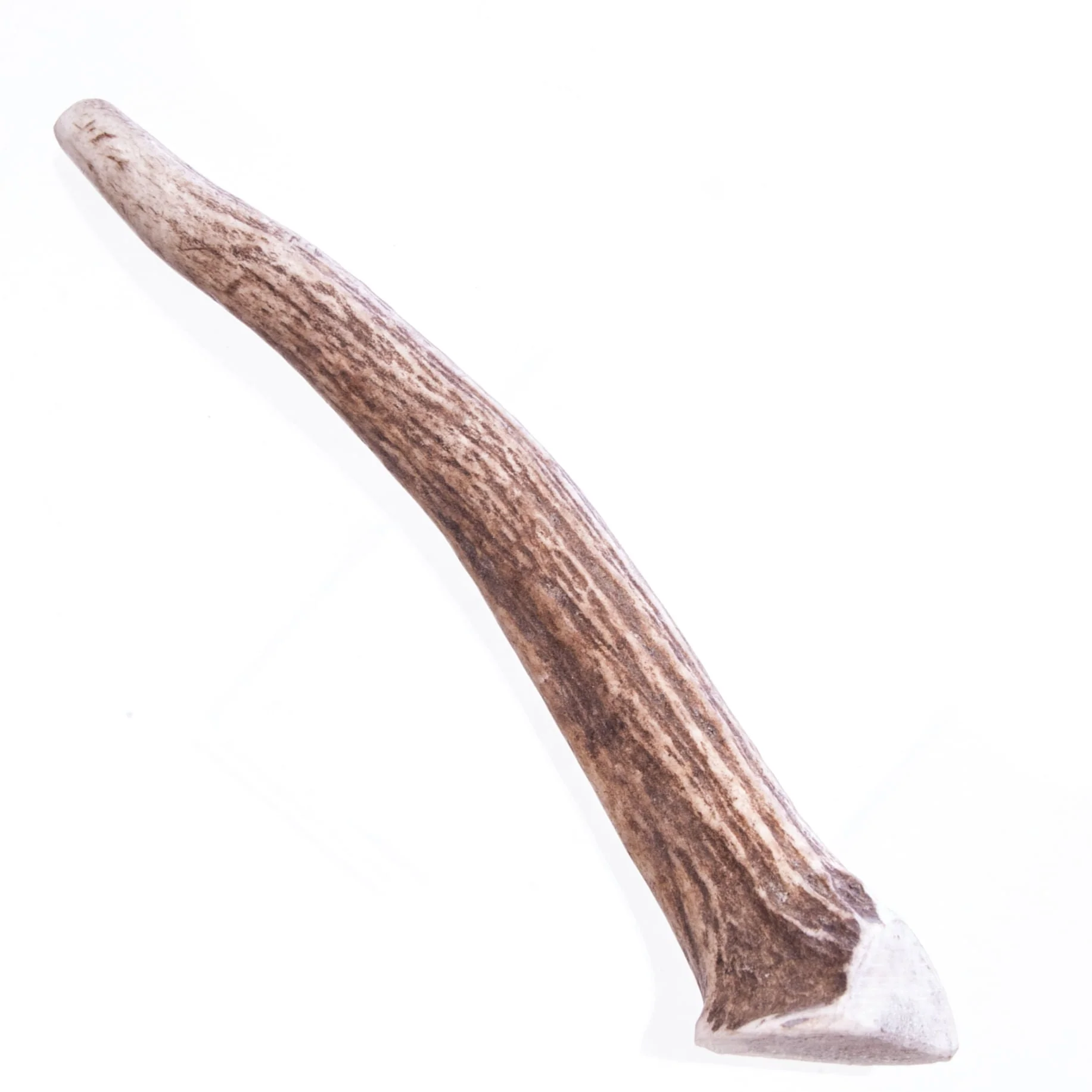 Big Sky Round Antler Chews, Singles - Image 2