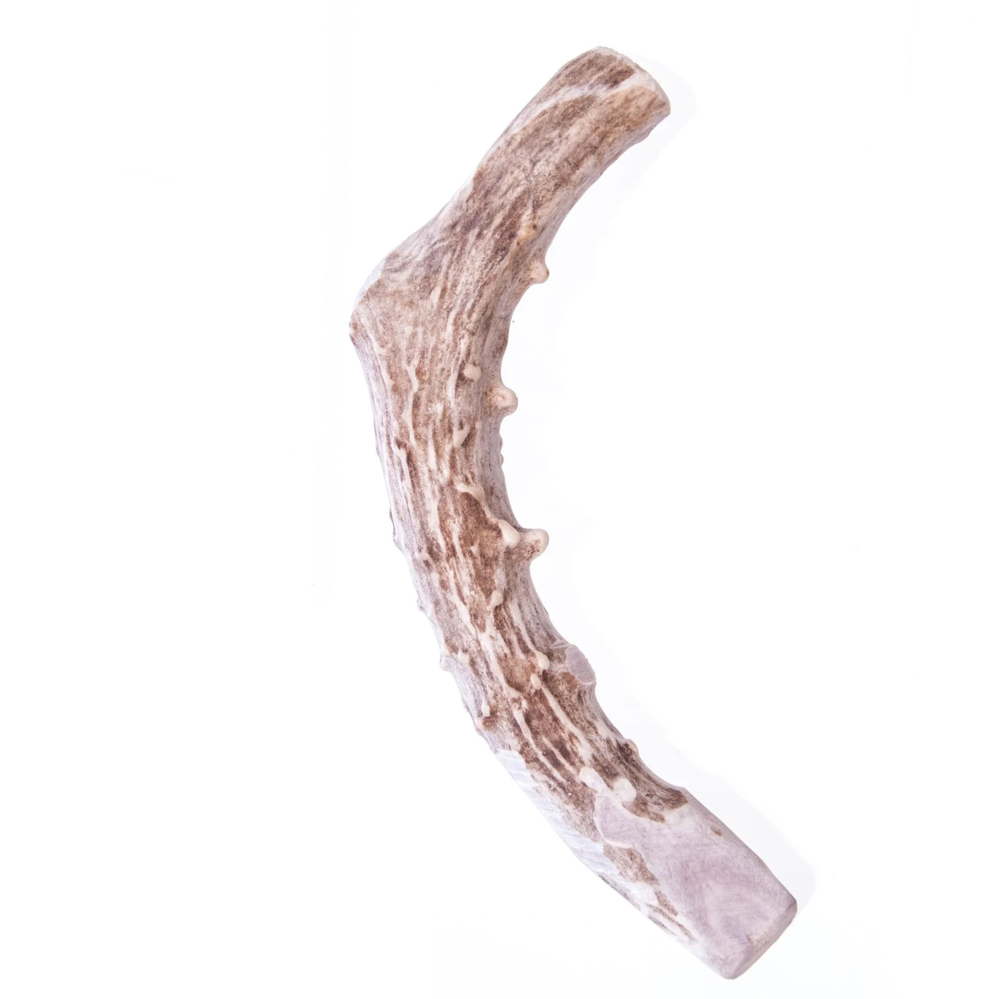 Big Sky Round Antler Chews, Singles - Image 3