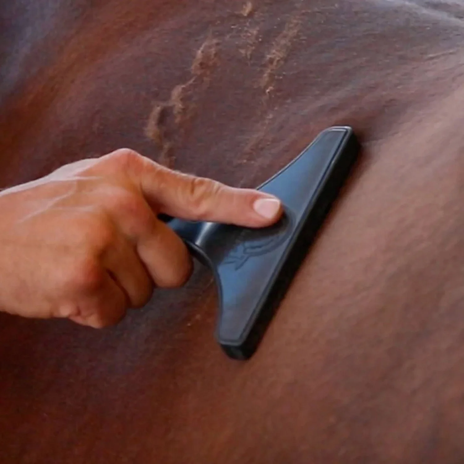 BioMane Horse Grooming Tool - Image 2