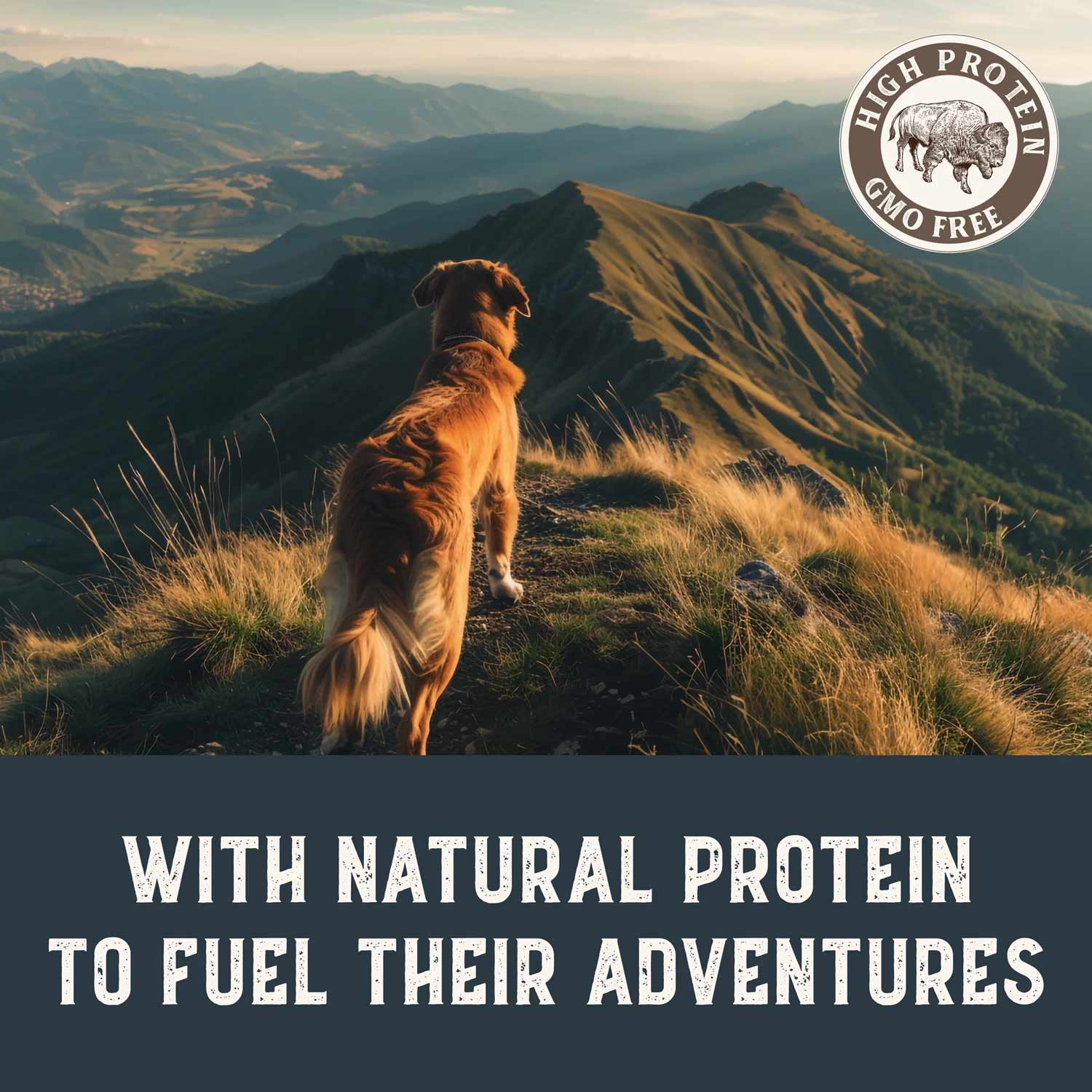 Health Extension Grain-Free Bison & Fish Jerky for Dogs - Image 4