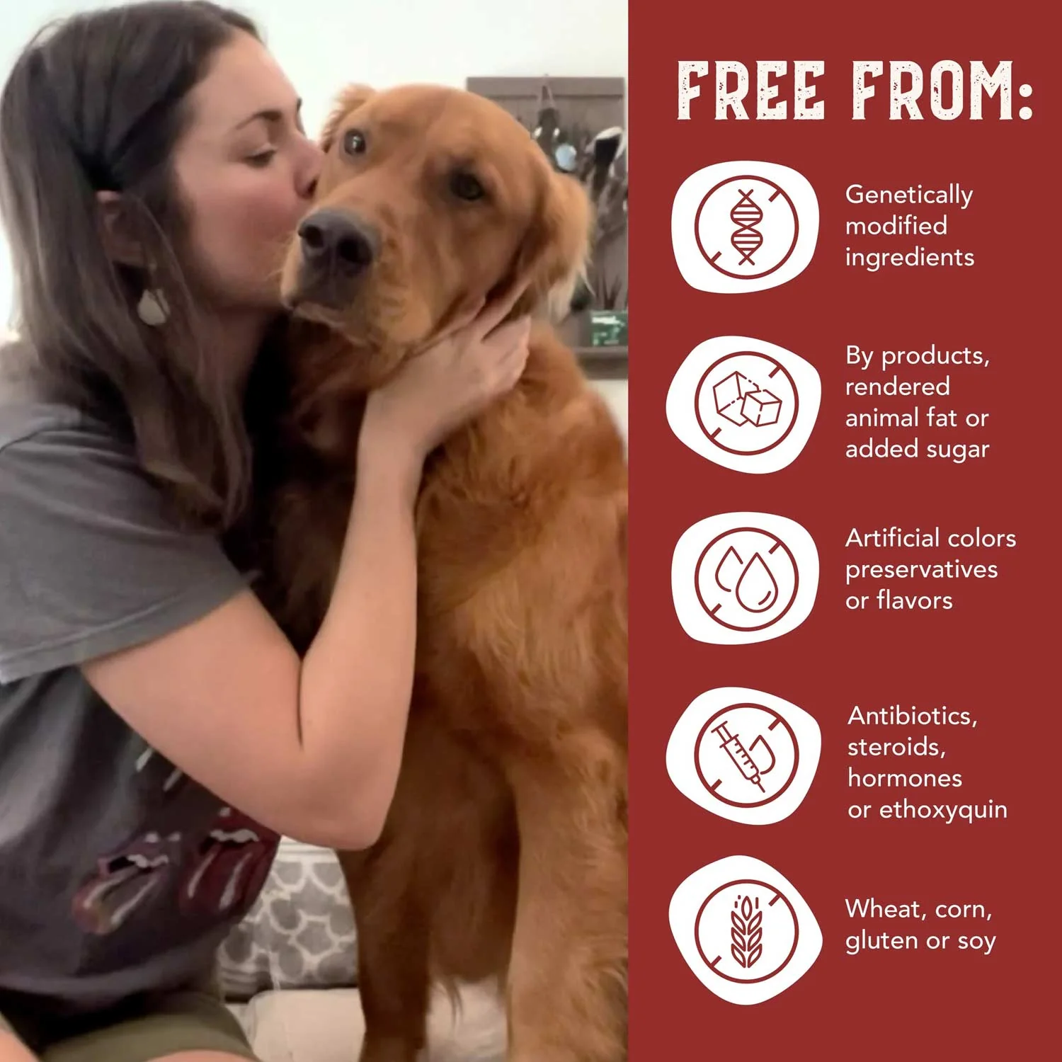 Health Extension Grain-Free Bison & Fish Jerky for Dogs - Image 6