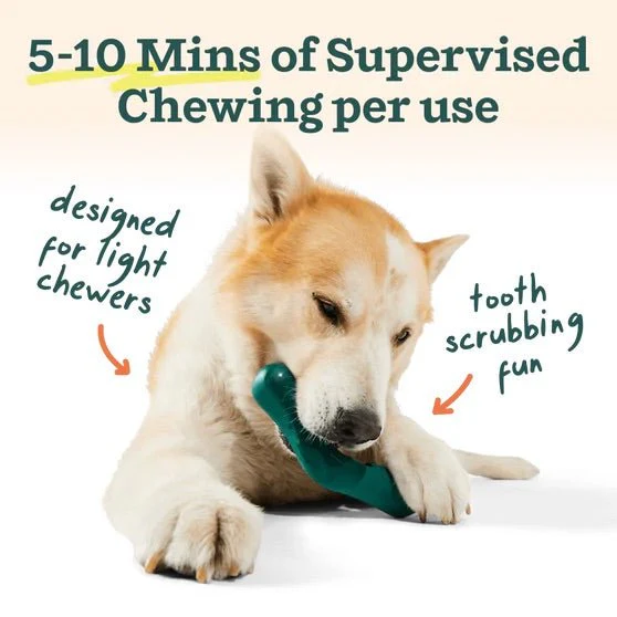 Bite n’ Brush Dog Dental Chew Toy & Treat Refills– Self-Cleaning, Teeth & Gum Care, Plaque & Tartar Remover - Image 5