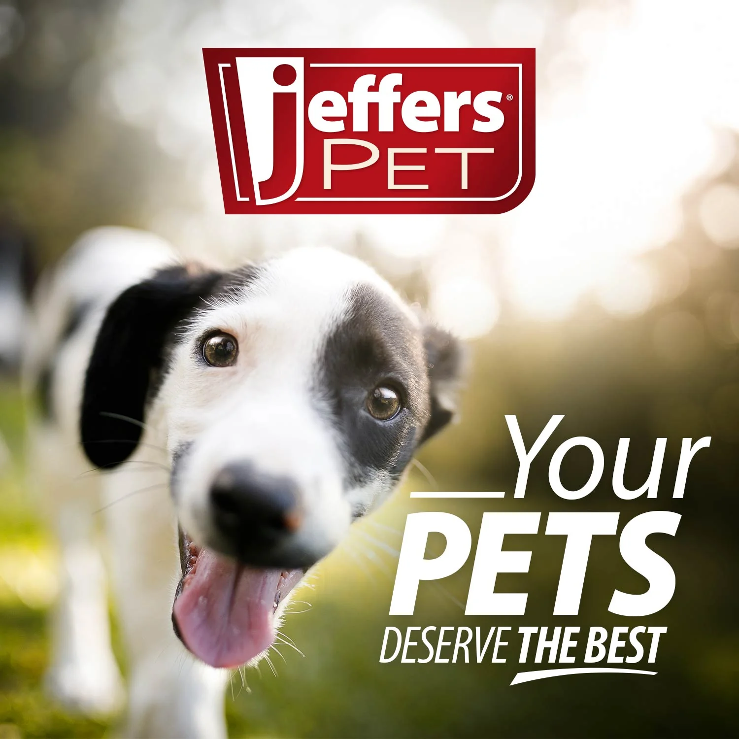 Jeffers Red Bouncing Ball with Waves Natural Rubber Dental Dog Chew Toy for Energetic Play - Image 9