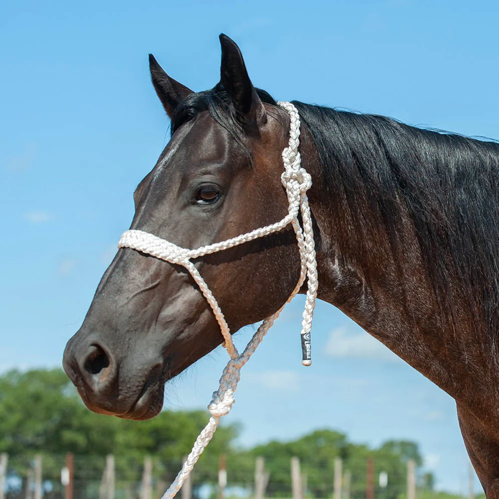 Braided Mule Tape Halter with 9' Lead - Image 10
