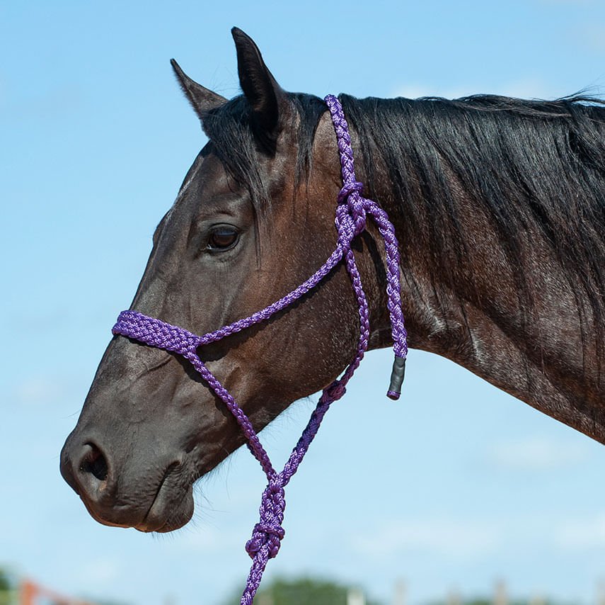 Braided Mule Tape Halter with 9' Lead - Image 9