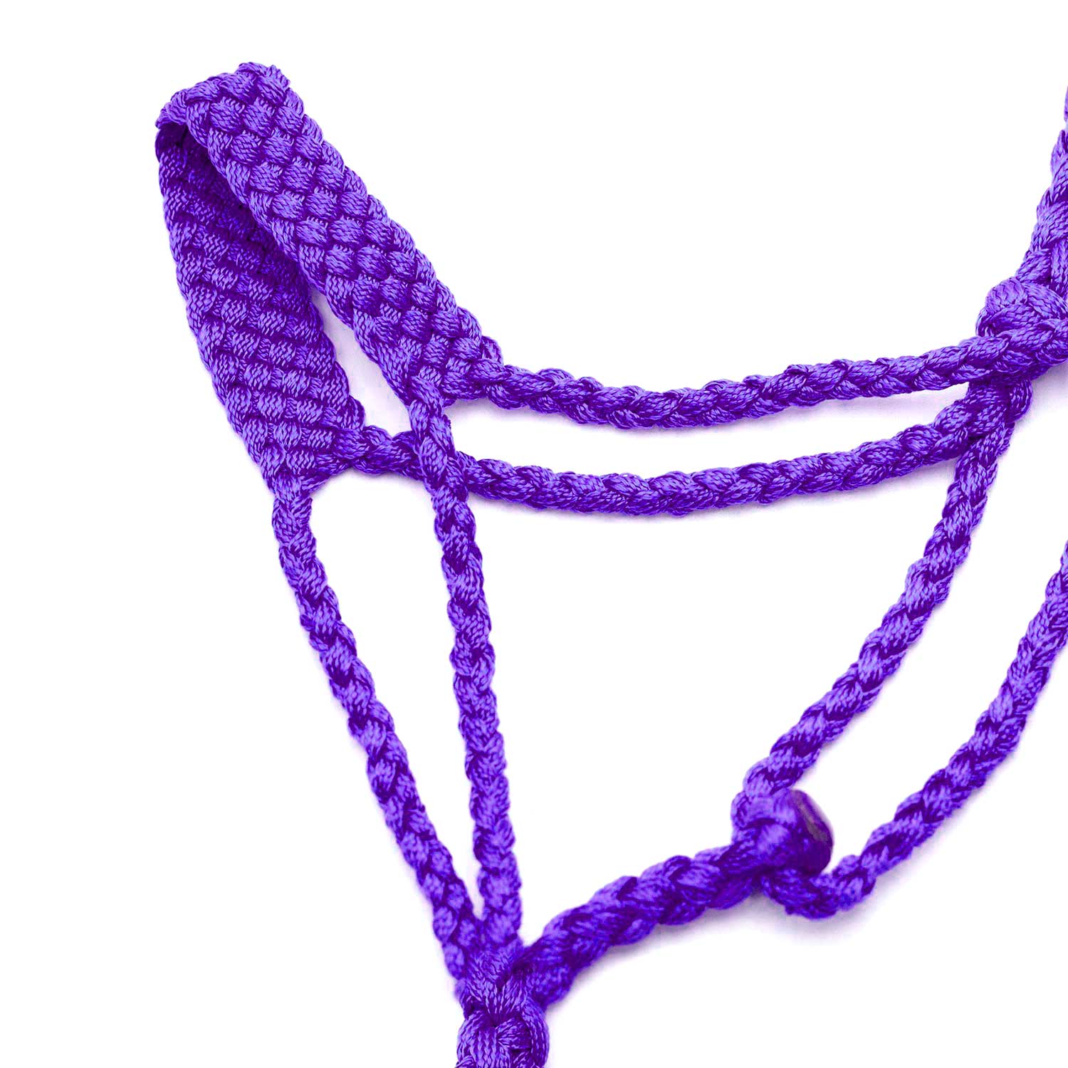 Jeffers Braided Mule Tape Halter with 10' Lead for Horses - Image 28