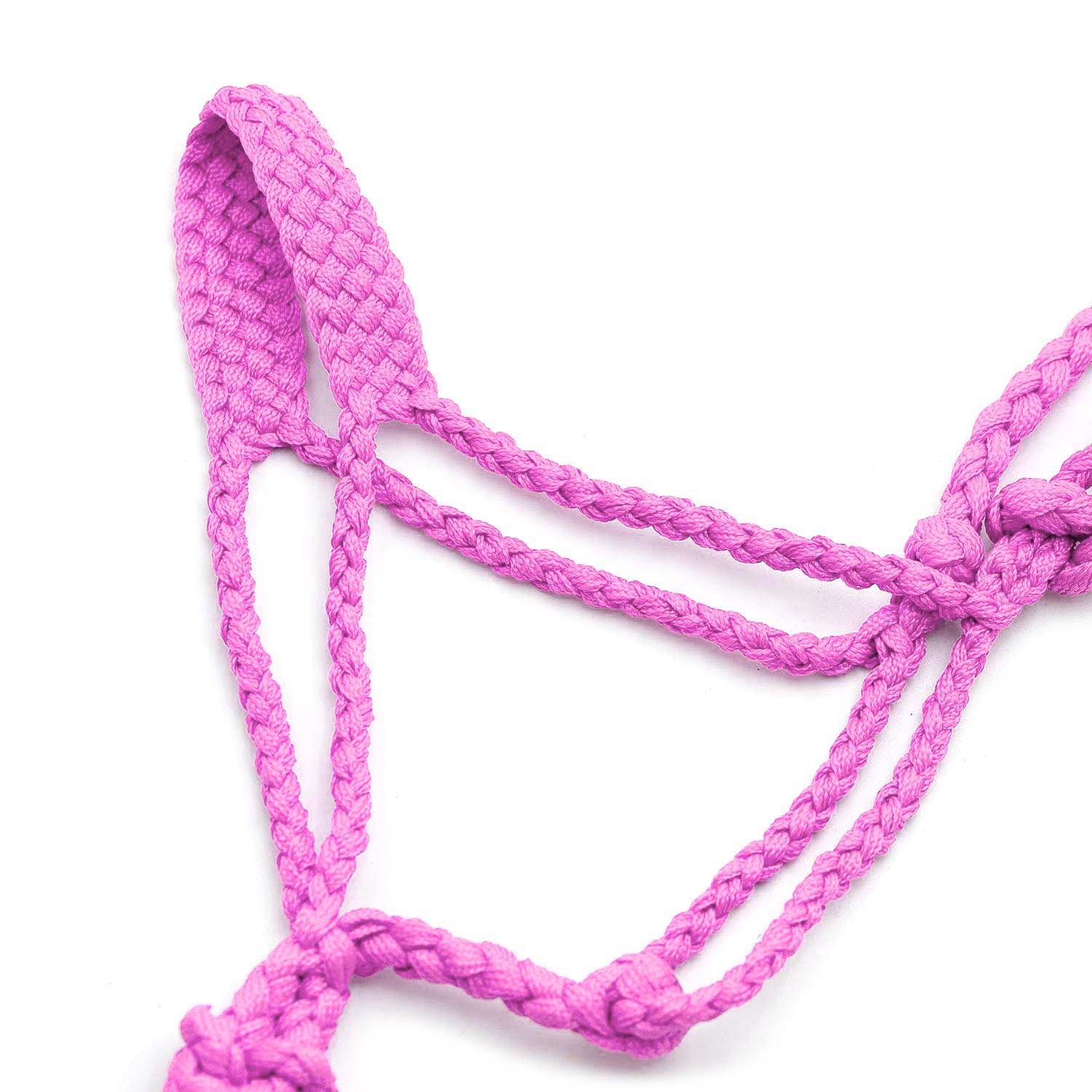 Jeffers Braided Mule Tape Halter with 10' Lead for Horses - Image 31