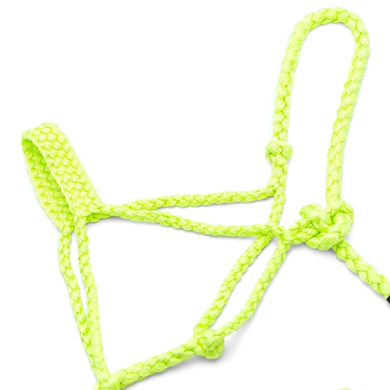 Jeffers Braided Mule Tape Halter with 10' Lead for Horses - Image 34