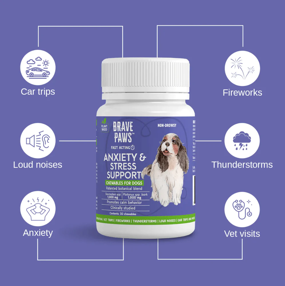 Brave Paws Anxiety & Stress Support Chewables for Dogs, Beef Flavored, 30 ct - Image 2