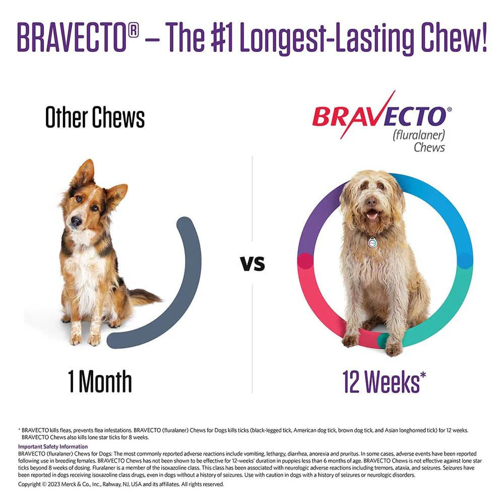Rx Bravecto Chews for Dogs (Fluralaner) - 12 Week Flea & Tick Prevention, 1 Chew - Image 16