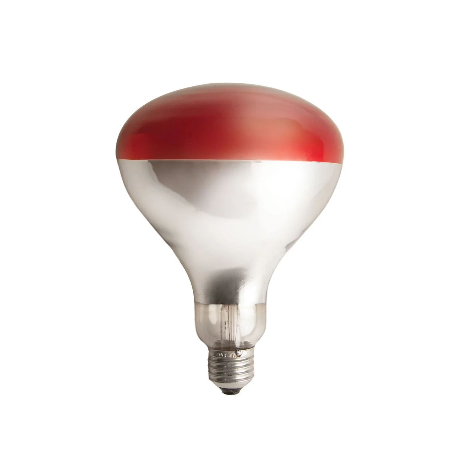 Clamp-On Brooder Heat Lamp for Chicks & Poultry - Compatible with 250W Red & Clear Heat Bulbs - Image 3