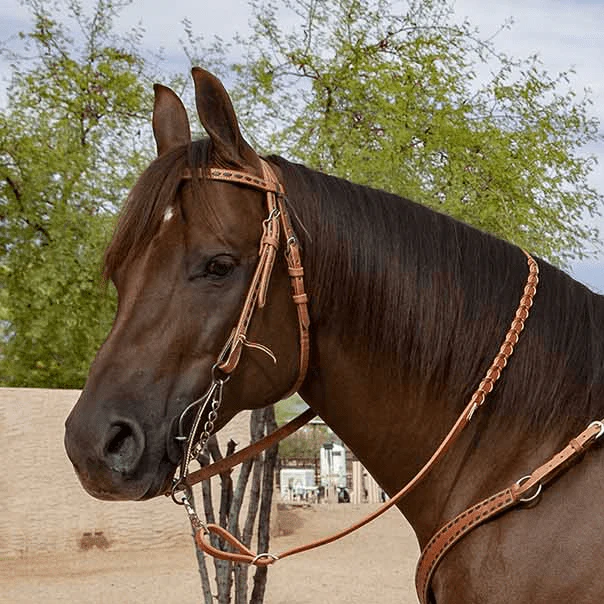 Professional's Choice Buckstitch Harness Leather Browband Headstall - Image 4