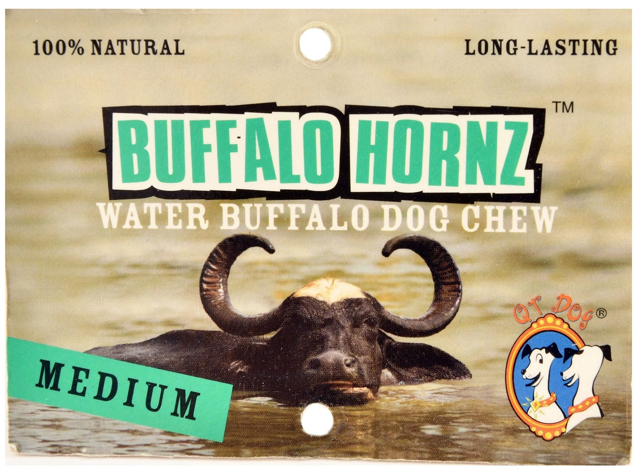 QT Dog Buffalo Hornz Natural Buffalo Horn Dog Chew - Image 4