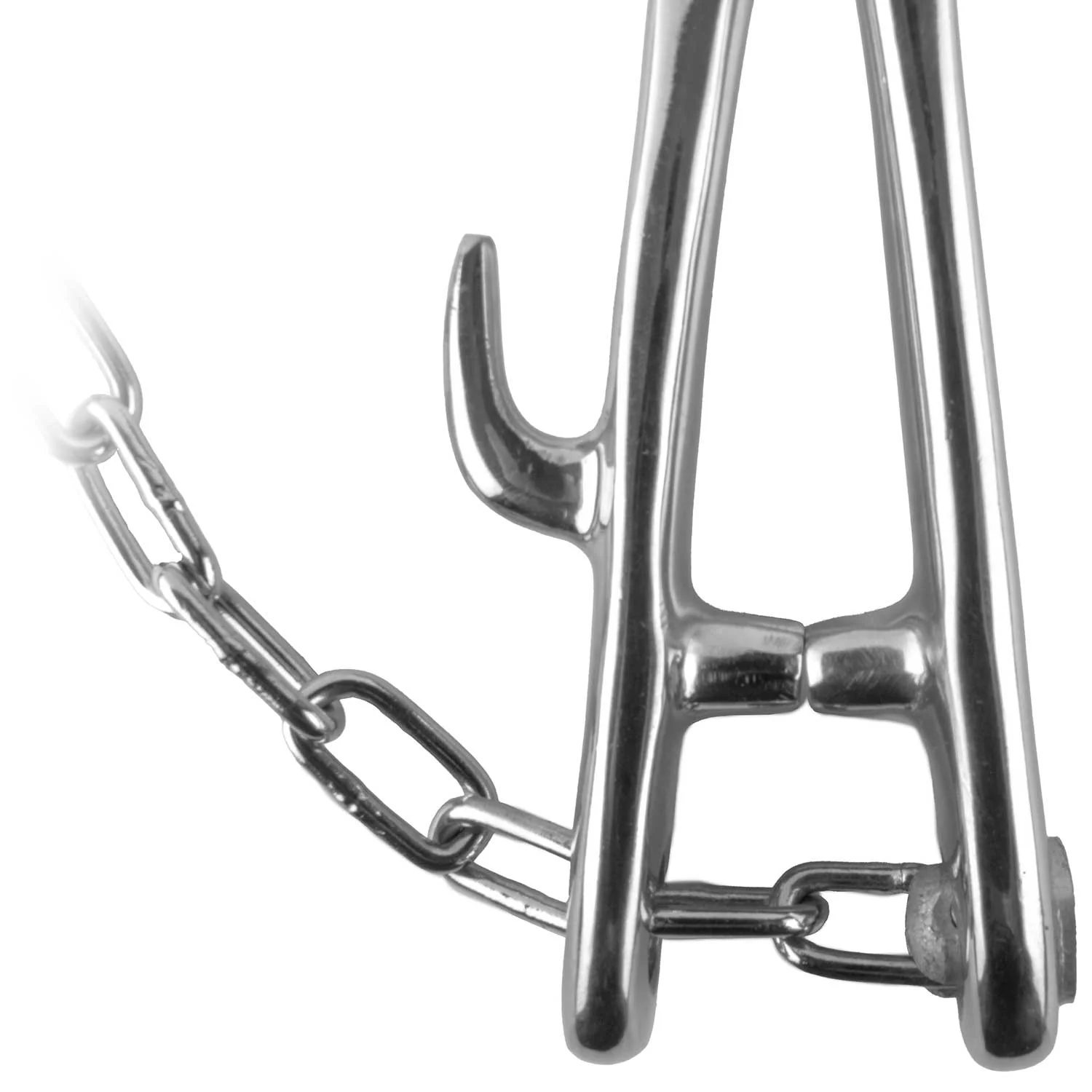Jeffers Bull Nose Lead (Cow Nose Pliers) with Chain - Image 5