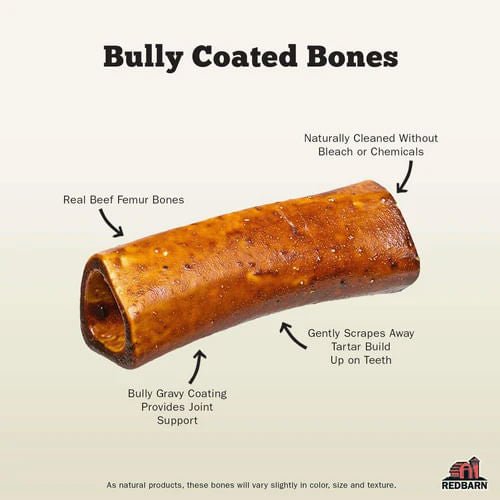 Redbarn Bully Coated Large Bone - Image 2