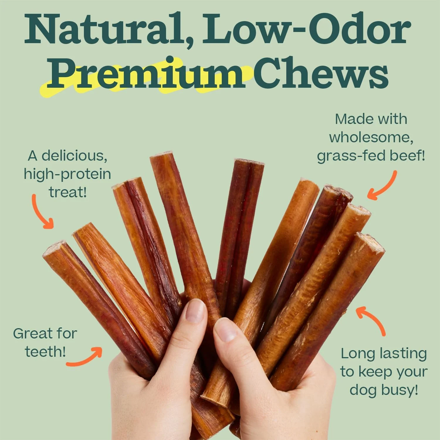 BullySafe Bully Sticks– Odor-Free, Long-Lasting Dog Chews | Grass-Fed, Free-Range, Single-Ingredient Beef Pizzle Treats - Image 10