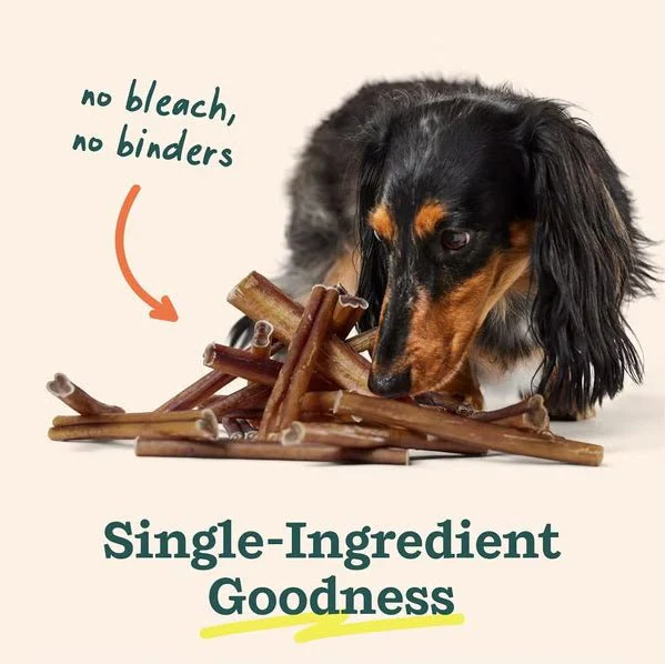 BullySafe Chews - Pure Collagen Chews Dog Chews – Long Lasting, Single Ingredient, Joint Support - Image 2