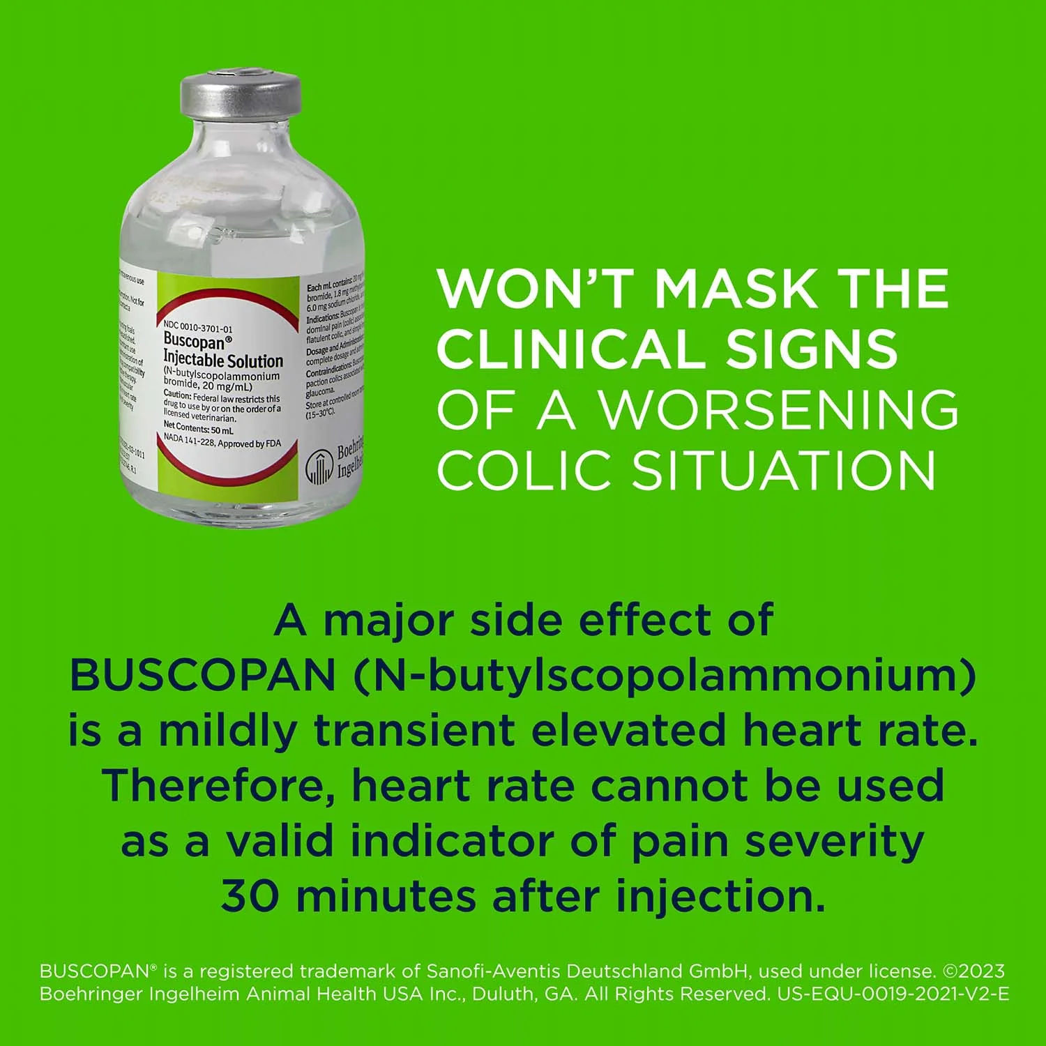 Rx Buscopan Injectable Solution for Horses, 50 mL - Image 6