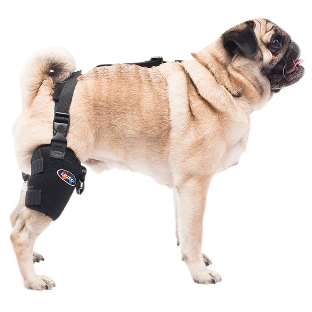 Caldera Pet Universal Therapy Tarsal/Stifle Wrap with Therapy Gel, Small - Image 2