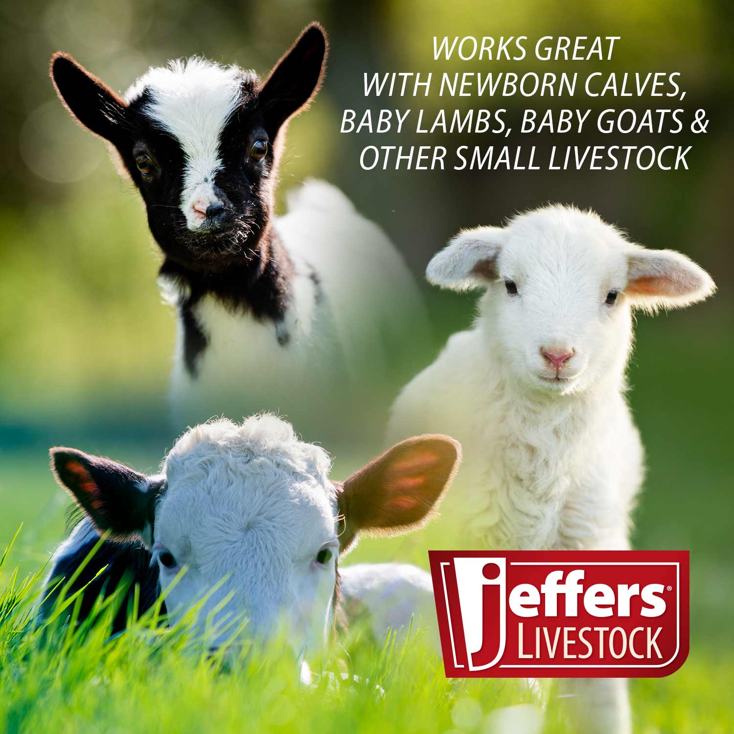Jeffers Calf Sling - Image 7