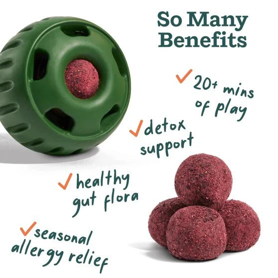 Pupsicle Everyday Wellness Pops Refills – Long Lasting Dog Treats for Joint, Calm, Allergy & Whole Body Health - Image 18