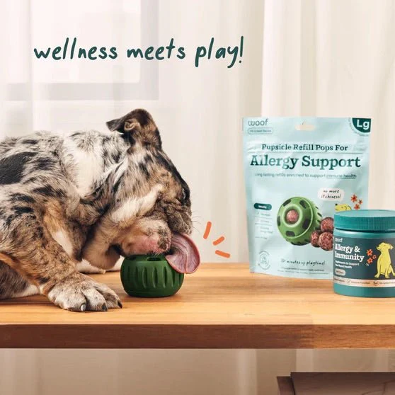 Pupsicle Everyday Wellness Pops Refills – Long Lasting Dog Treats for Joint, Calm, Allergy & Whole Body Health - Image 19