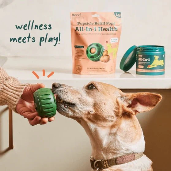 Pupsicle Everyday Wellness Pops Refills – Long Lasting Dog Treats for Joint, Calm, Allergy & Whole Body Health - Image 6