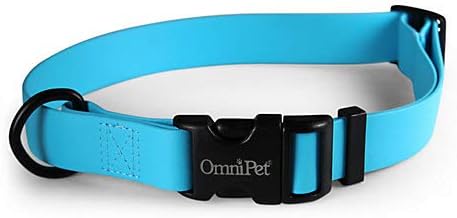 Carnival Dog Collars - Image 6
