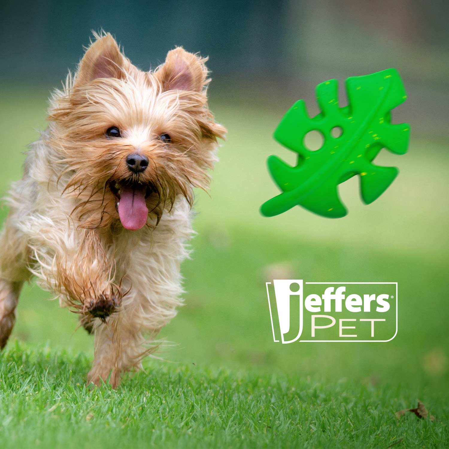 Jeffers Leaf Shaped Natural Rubber Dog Chew Toy with Dental Benefits and Vanilla Scent for Medium Chewers - Image 6