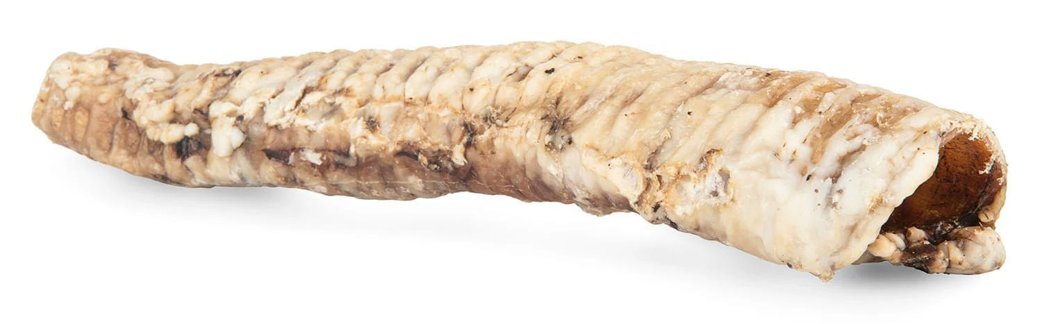 ChewMax Beef Trachea Tubes Dog Chews – All Natural, High Protein, Joint Support, Made in USA - Image 4
