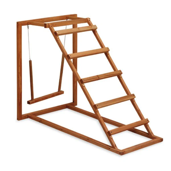 Wooden Chicken Activity Play Set with Swing, Perches, and Ladder