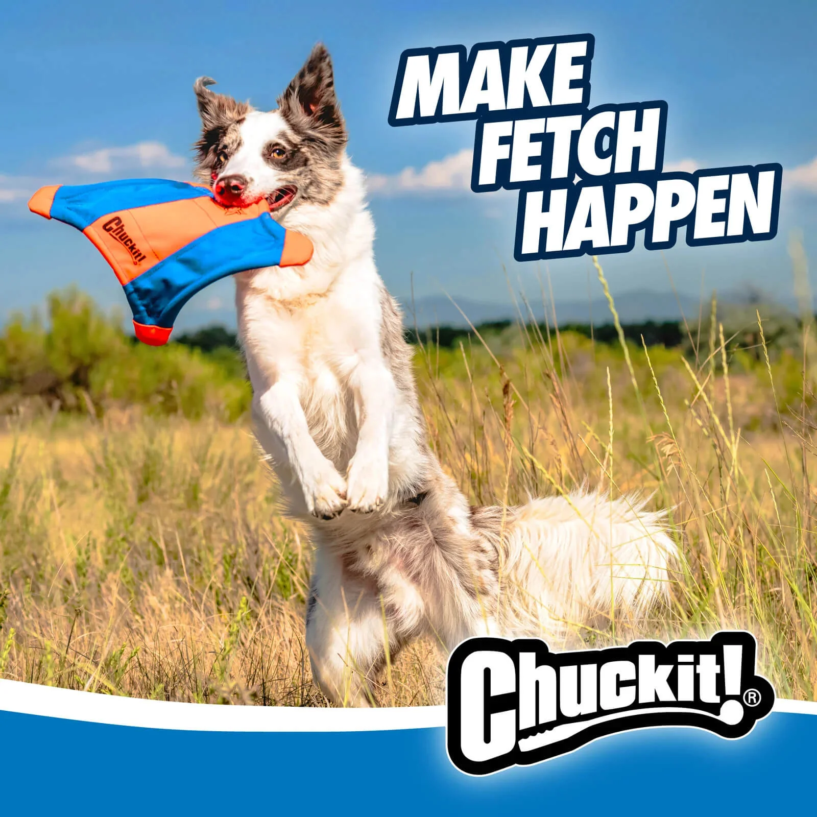 Chuckit! Flying Squirrel, Medium - Image 6
