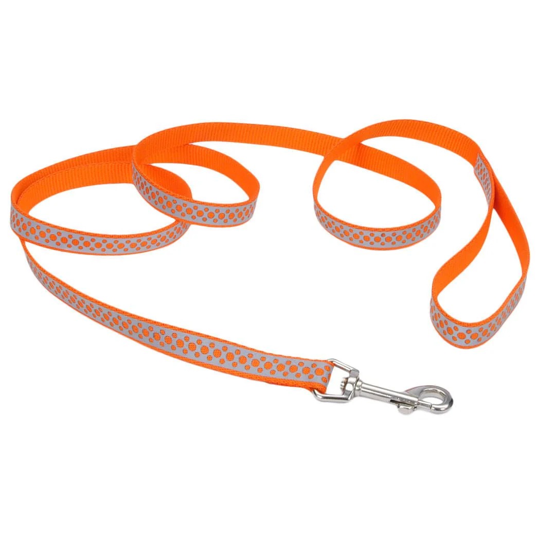 Coastal Pet Lazer Brite Dog Leash, 6' x 1" - Image 4