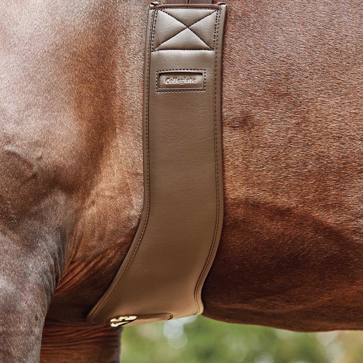 Collegiate Anatomic Girth, Brown - Image 12