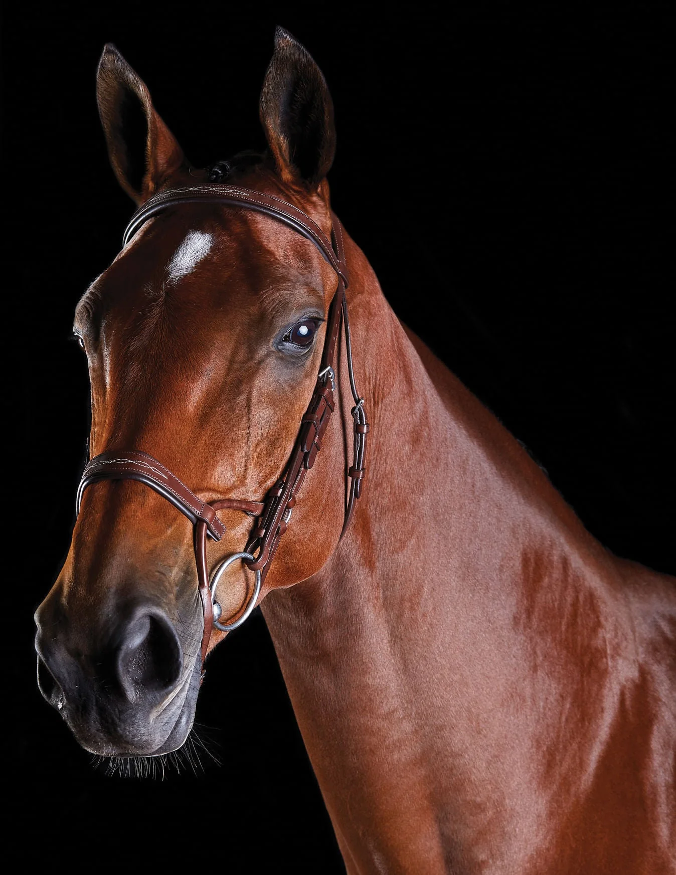 Collegiate ComFITec Fancy Stitch Bridle - Image 4