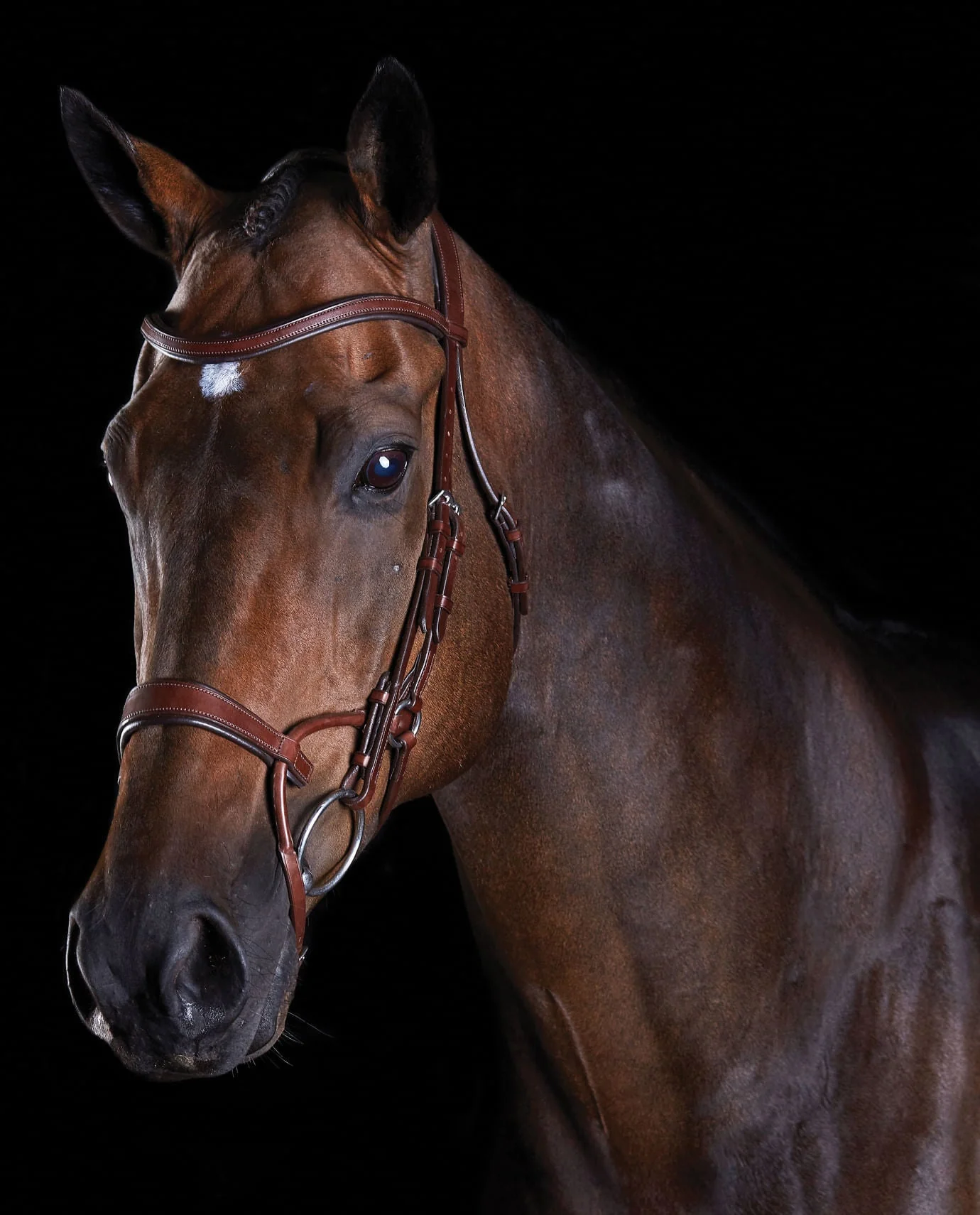 Collegiate ComFITec Training Bridle - Image 2