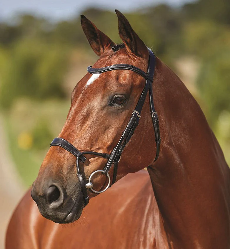 Collegiate ComFITec Training Bridle - Image 3